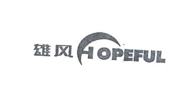 順德雄風電器實業公司