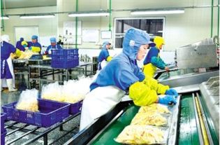 福建夷山物產(chǎn)食品實(shí)業(yè)公司農(nóng)產(chǎn)品遠(yuǎn)銷海外