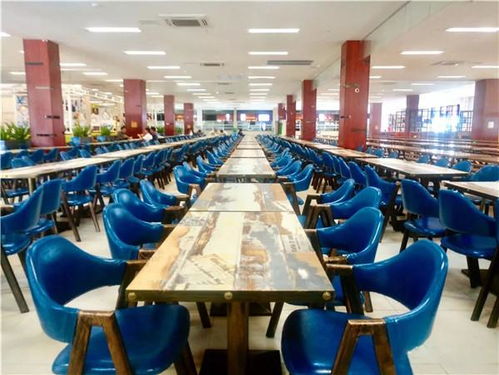 廣東東駿膳食服務動態